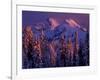 Unicorn Peak, Mt. Rainier National Park, Washington, USA-Art Wolfe-Framed Photographic Print