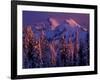 Unicorn Peak, Mt. Rainier National Park, Washington, USA-Art Wolfe-Framed Photographic Print