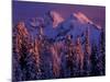 Unicorn Peak, Mt. Rainier National Park, Washington, USA-Art Wolfe-Mounted Photographic Print