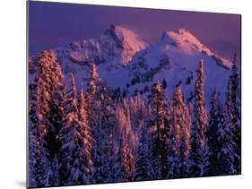 Unicorn Peak, Mt. Rainier National Park, Washington, USA-Art Wolfe-Mounted Photographic Print