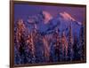 Unicorn Peak, Mt. Rainier National Park, Washington, USA-Art Wolfe-Framed Photographic Print