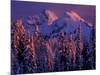 Unicorn Peak, Mt. Rainier National Park, Washington, USA-Art Wolfe-Mounted Photographic Print
