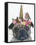 Unicorn Pug-Melissa Symons-Framed Stretched Canvas