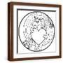 Brown Frame