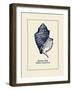 Unicorn Shell-Gregory Gorham-Framed Art Print