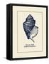 Unicorn Shell-Gregory Gorham-Framed Stretched Canvas