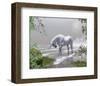 Unicorn Spring Snow Mountains-null-Framed Art Print