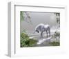 Unicorn Spring Snow Mountains-null-Framed Art Print