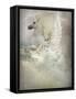 Unicorn-Lynne Davies-Framed Stretched Canvas