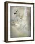 Unicorn-Lynne Davies-Framed Photographic Print