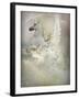 Unicorn-Lynne Davies-Framed Photographic Print