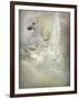 Unicorn-Lynne Davies-Framed Photographic Print