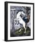 Unicorn-Harry Briggs-Framed Giclee Print