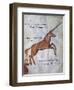 Unicorn-null-Framed Giclee Print