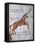 Unicorn-null-Framed Stretched Canvas