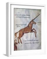 Unicorn-null-Framed Giclee Print