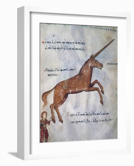 Unicorn-null-Framed Giclee Print