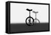 Unicycle Portrait-exty-Framed Stretched Canvas