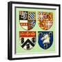 Unidentified Coats of Arms-Dan Escott-Framed Giclee Print