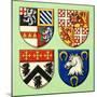 Unidentified Coats of Arms-Dan Escott-Mounted Giclee Print