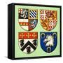 Unidentified Coats of Arms-Dan Escott-Framed Stretched Canvas