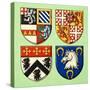 Unidentified Coats of Arms-Dan Escott-Stretched Canvas