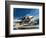 Unidentified Jet Fighter-Wilf Hardy-Framed Giclee Print