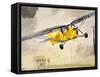 Unidentified Low-Flying Aircraft-null-Framed Stretched Canvas