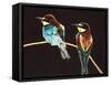 Unidentified Pair of Birds-null-Framed Stretched Canvas