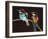 Unidentified Pair of Birds-null-Framed Giclee Print