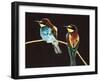 Unidentified Pair of Birds-null-Framed Giclee Print