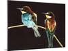 Unidentified Pair of Birds-null-Mounted Giclee Print