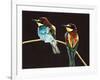 Unidentified Pair of Birds-null-Framed Giclee Print