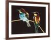 Unidentified Pair of Birds-null-Framed Giclee Print