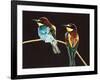 Unidentified Pair of Birds-null-Framed Giclee Print