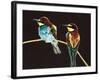 Unidentified Pair of Birds-null-Framed Giclee Print