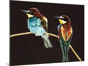 Unidentified Pair of Birds-null-Mounted Giclee Print