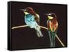 Unidentified Pair of Birds-null-Framed Stretched Canvas