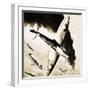 Unidentified Spitfire in Dogfight with German Fighters-null-Framed Giclee Print