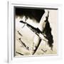 Unidentified Spitfire in Dogfight with German Fighters-null-Framed Giclee Print