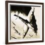Unidentified Spitfire in Dogfight with German Fighters-null-Framed Giclee Print