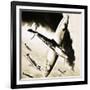 Unidentified Spitfire in Dogfight with German Fighters-null-Framed Giclee Print