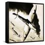 Unidentified Spitfire in Dogfight with German Fighters-null-Framed Stretched Canvas