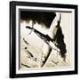 Unidentified Spitfire in Dogfight with German Fighters-null-Framed Giclee Print