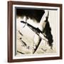 Unidentified Spitfire in Dogfight with German Fighters-null-Framed Giclee Print