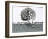 Unidentified Tree, Showing Half Without Leaves and Root System-null-Framed Giclee Print