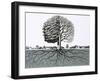 Unidentified Tree, Showing Half Without Leaves and Root System-null-Framed Giclee Print