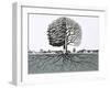 Unidentified Tree, Showing Half Without Leaves and Root System-null-Framed Giclee Print