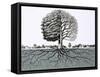 Unidentified Tree, Showing Half Without Leaves and Root System-null-Framed Stretched Canvas