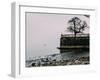 Unidentified woman looking at Lake Maggiore on a cold winter's day, Piedmont, Italian Lakes, Italy,-Alexandre Rotenberg-Framed Photographic Print